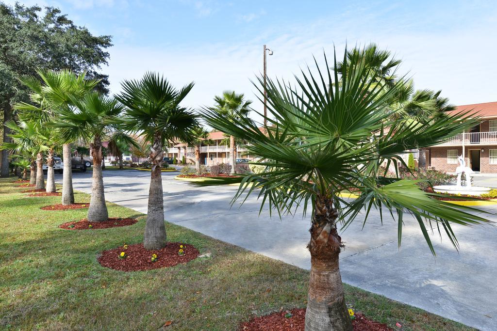 Savannah Inn And Suites Savannah Port Area 便利设施 照片